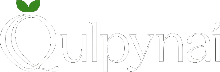Логотип Портал обучения Qulpynai